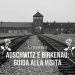 Auschwitz e Birkenau guida alla visita