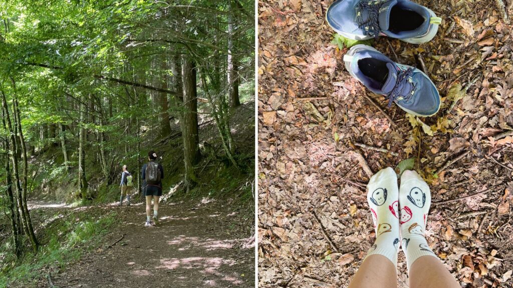 Diga di Ridracoli forest Bathing